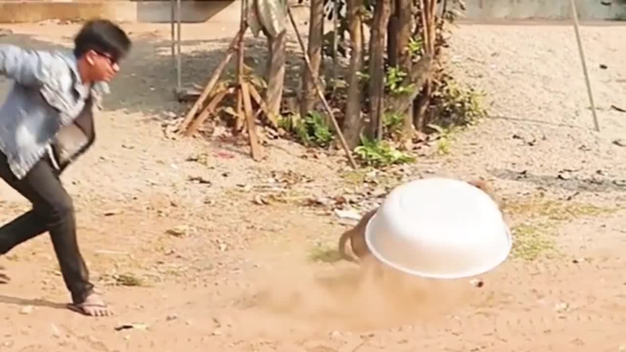 FUNNY VIDEO - DOG PRANK
