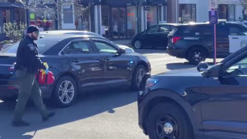 One killed, several injured after car slams into Massachusetts Apple store