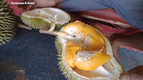 DURIAN PALING ENAK