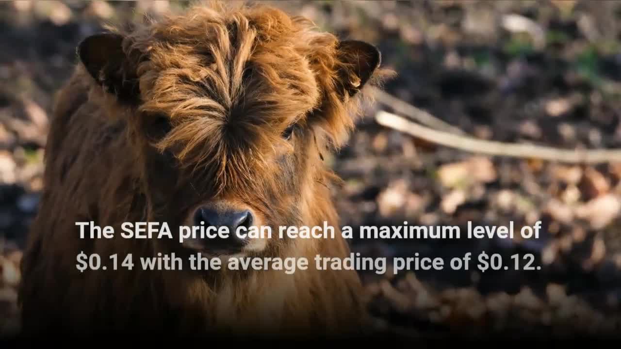 Mesefa Price Prediction 2023, 2025, 2030 SEFA Cryptocurrency Price Prediction