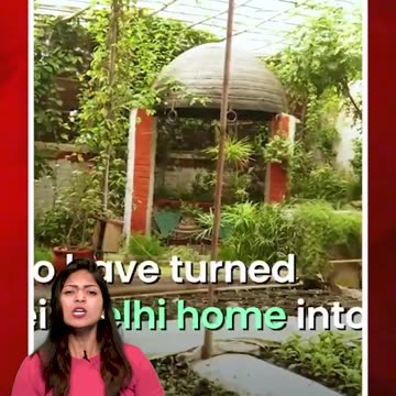 ఊరంతా కాలుష్యం.. ఒక్క ఇల్లు మాత్రం పచ్చగా! #pollution in #delhi #viralvideo | FBTV NEWS