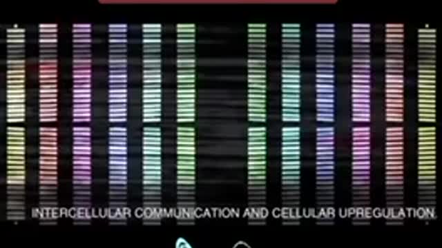 secret frequency revealed - part 2 / 2