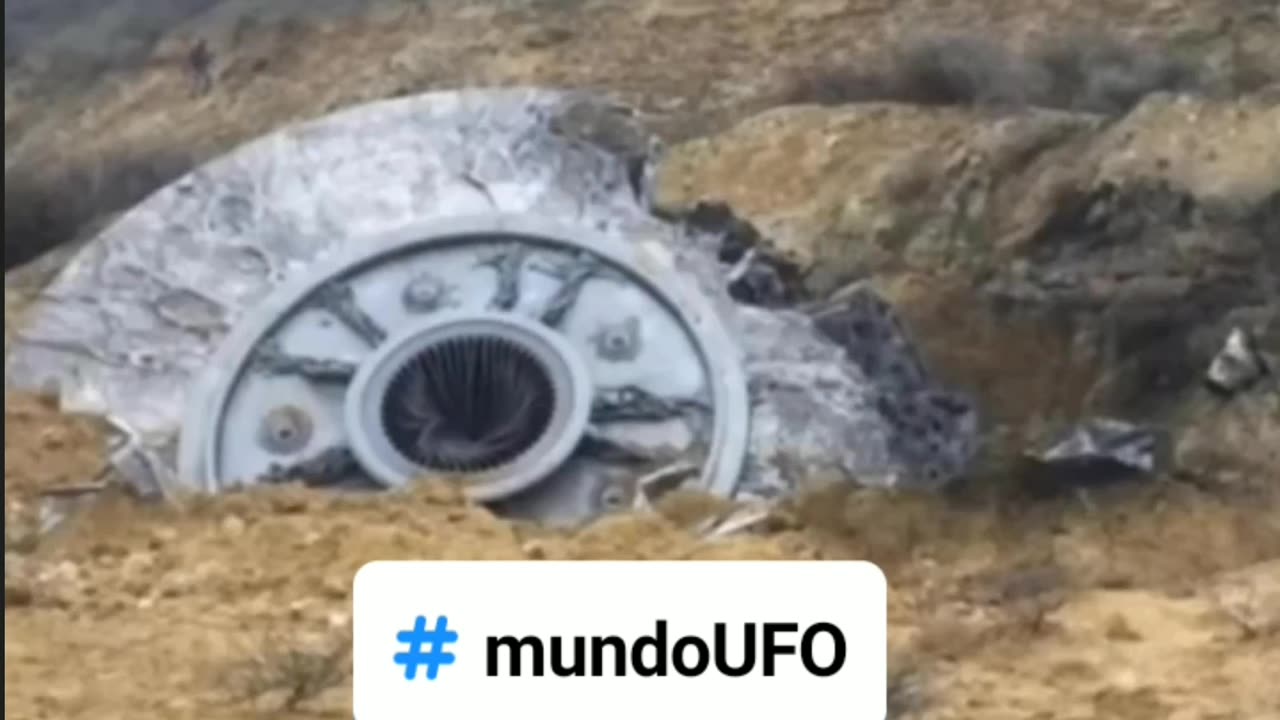 Real ou Fake? 🤔😱