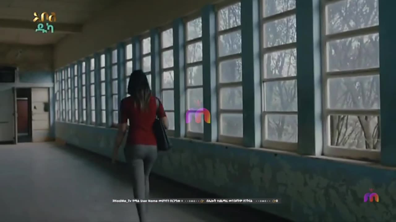 አደይ ምዕራፍ 05 ክፍል 22 ( ክፍል 282 )
