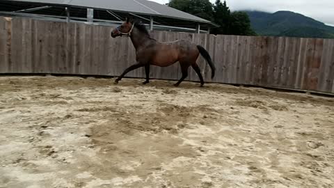 8-21 Supi Exercise-2