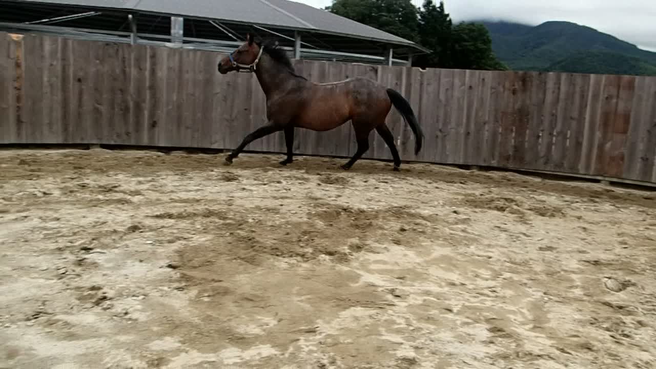 8-21 Supi Exercise-2