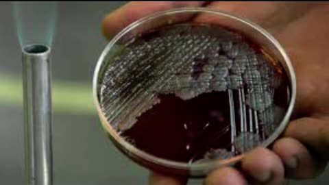 Jesuit CIA Anthrax Terrorists Justify President Bush's Patriot Act (A) - 11/14/22