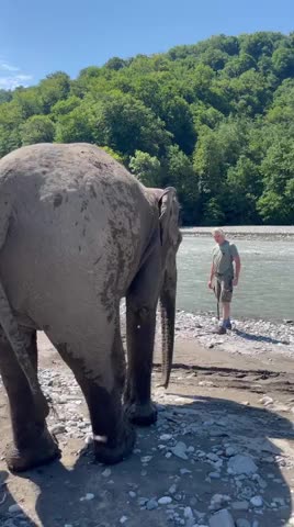 Brave tourists 😱😱😱