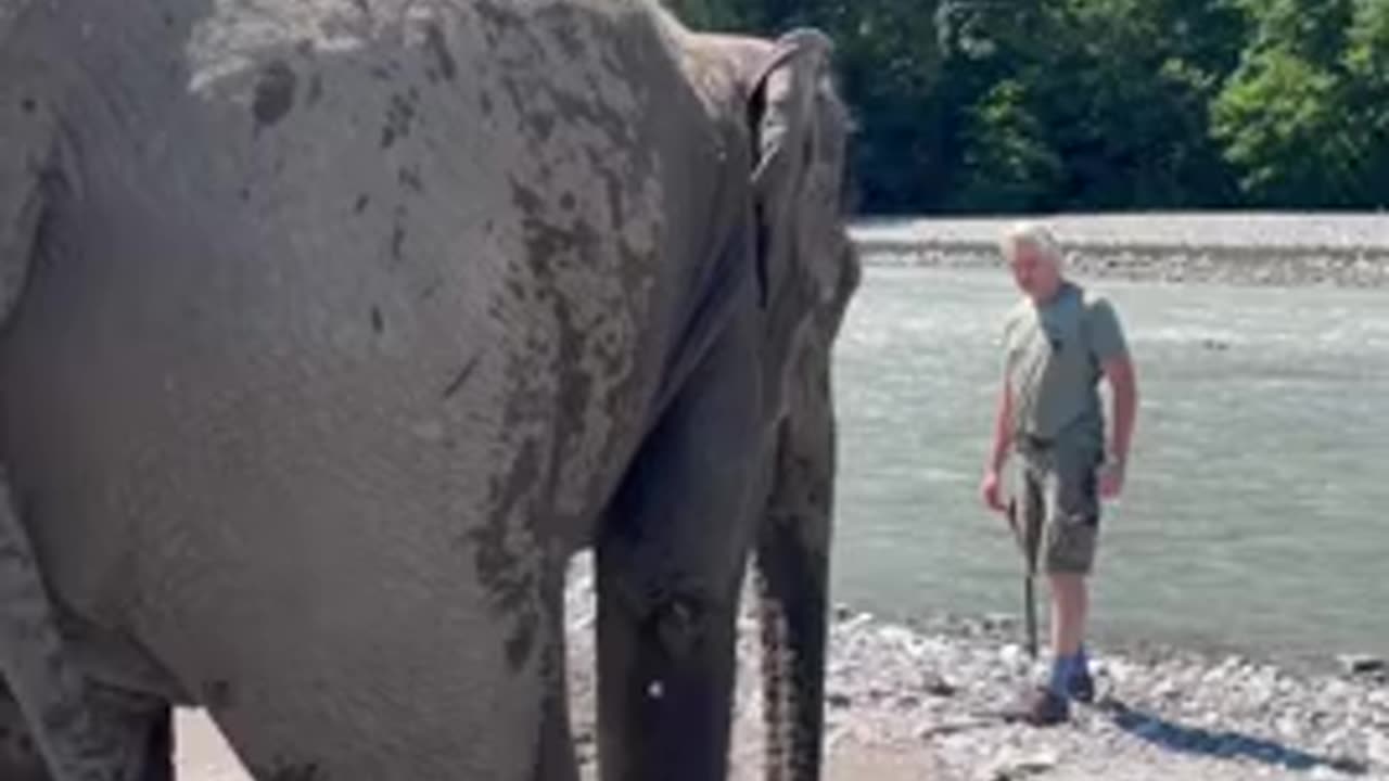 Brave tourists 😱😱😱