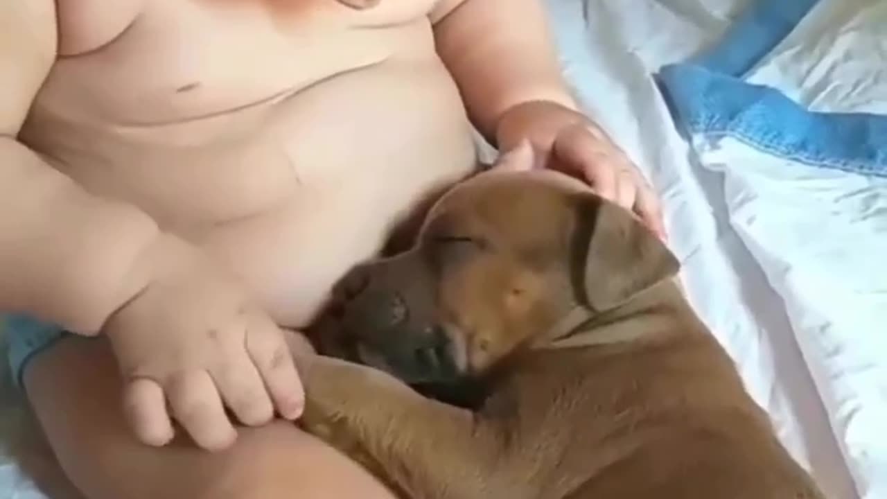 Cute baby videos