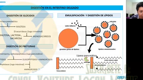 SEMESTRAL ADUNI 2023 | Semana 13 | Biología