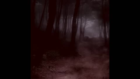 Fog 18