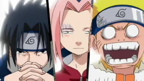Team 7 introduction