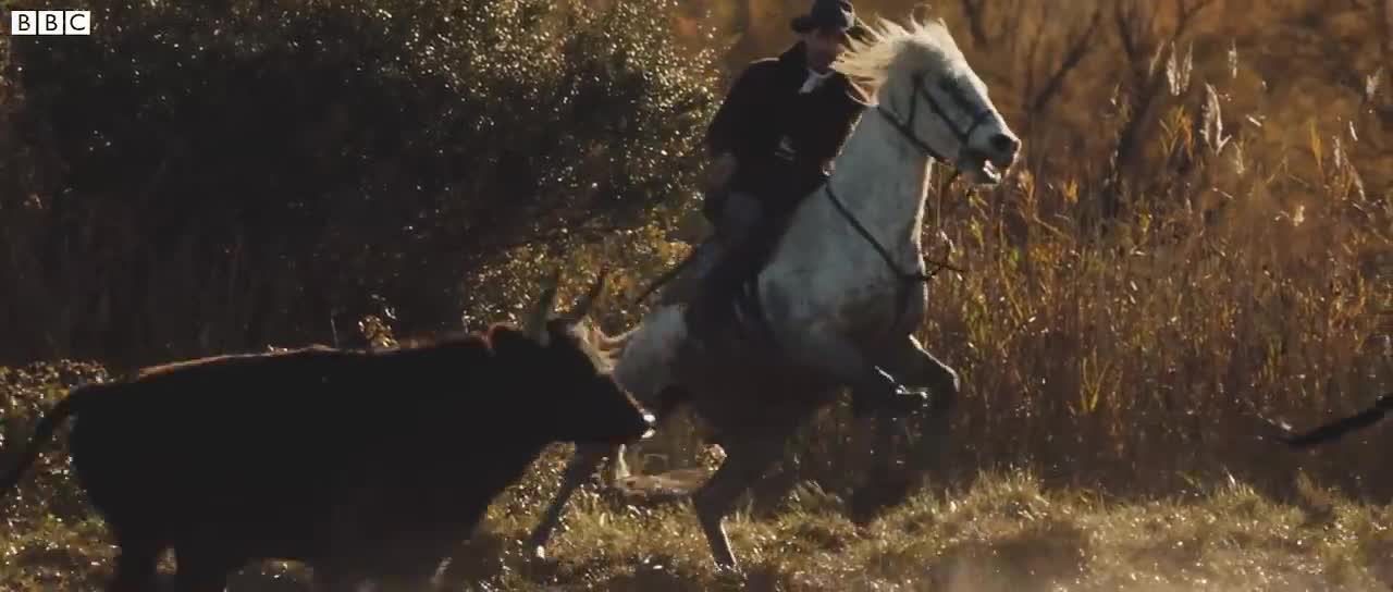 The Cowboys of Camargue | Relax, Mindfulness, Sleep | BBC Earth