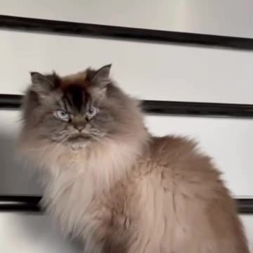 I am not impressed 🤣