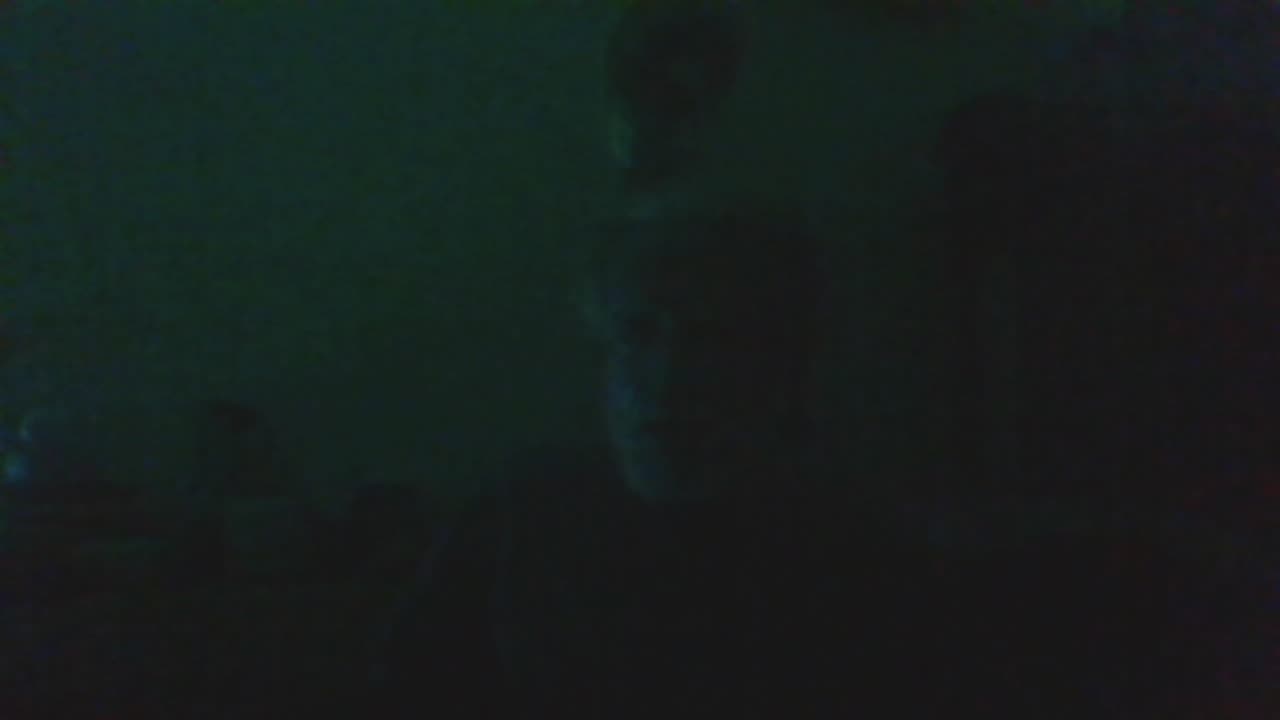 Vets reach out to help me