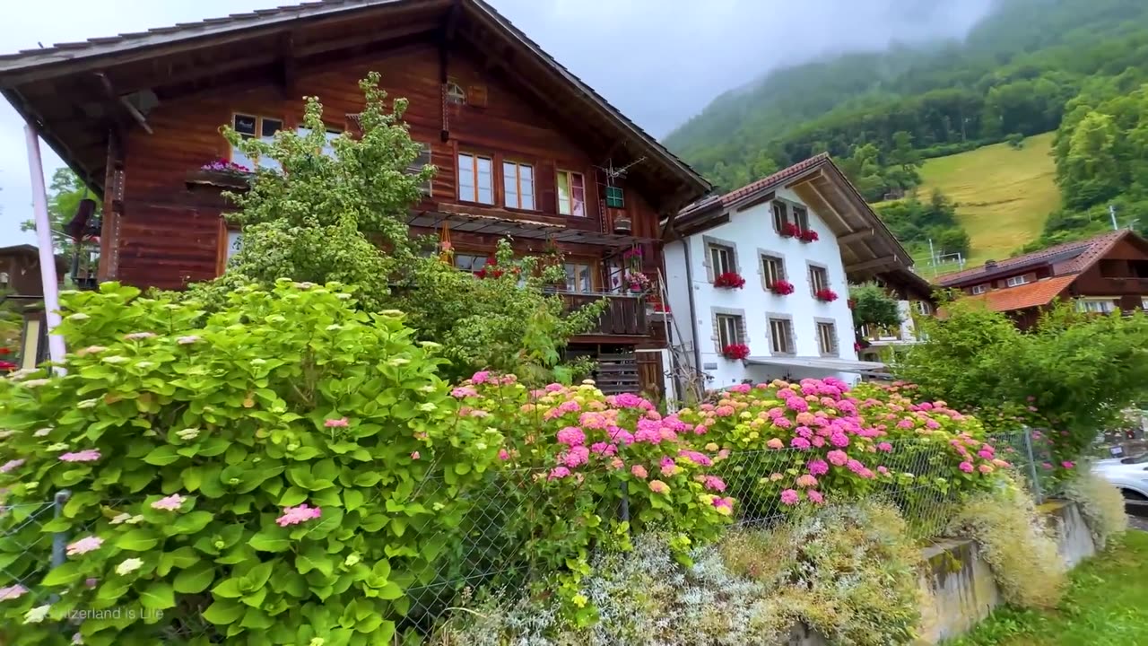 The magical Swiss village Oberried after fresh summer rain + Switzerland 4K