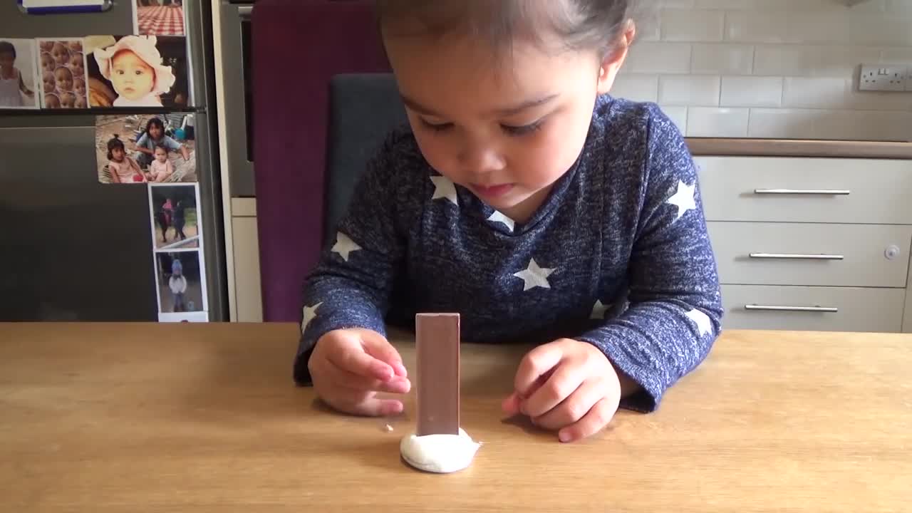 2 year old DESTROYS the self control challenge!!