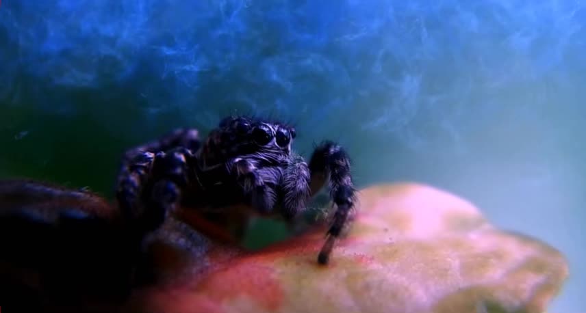 SITUATION UPDATE 01/02/2023 DEEP STATE ATTACK ON GITMO