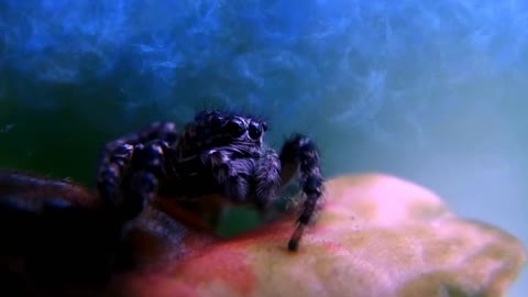 SITUATION UPDATE 01/02/2023 DEEP STATE ATTACK ON GITMO