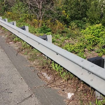 245PM20230922 no roll cage