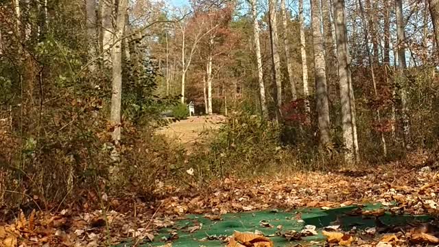 Disc golf