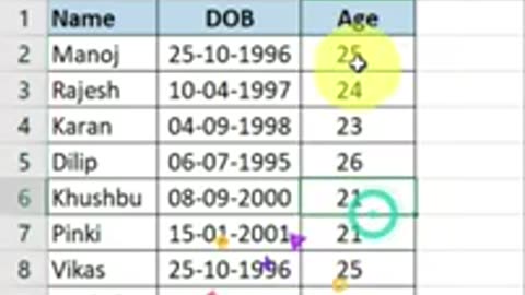 #Microsoft Excel Age Calculator