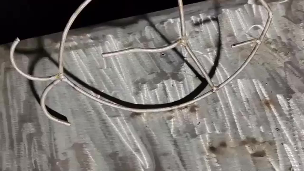 Metallic fish