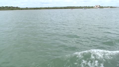 Boat Ride across InterCoastal Waterway to Ft. Matanzas - Literally 1 bird spotted.