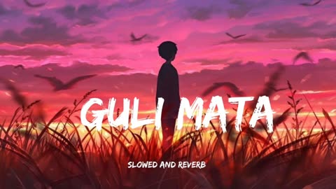 Gulli Mata (slowed and reverb)|NainiiLofi|lofi