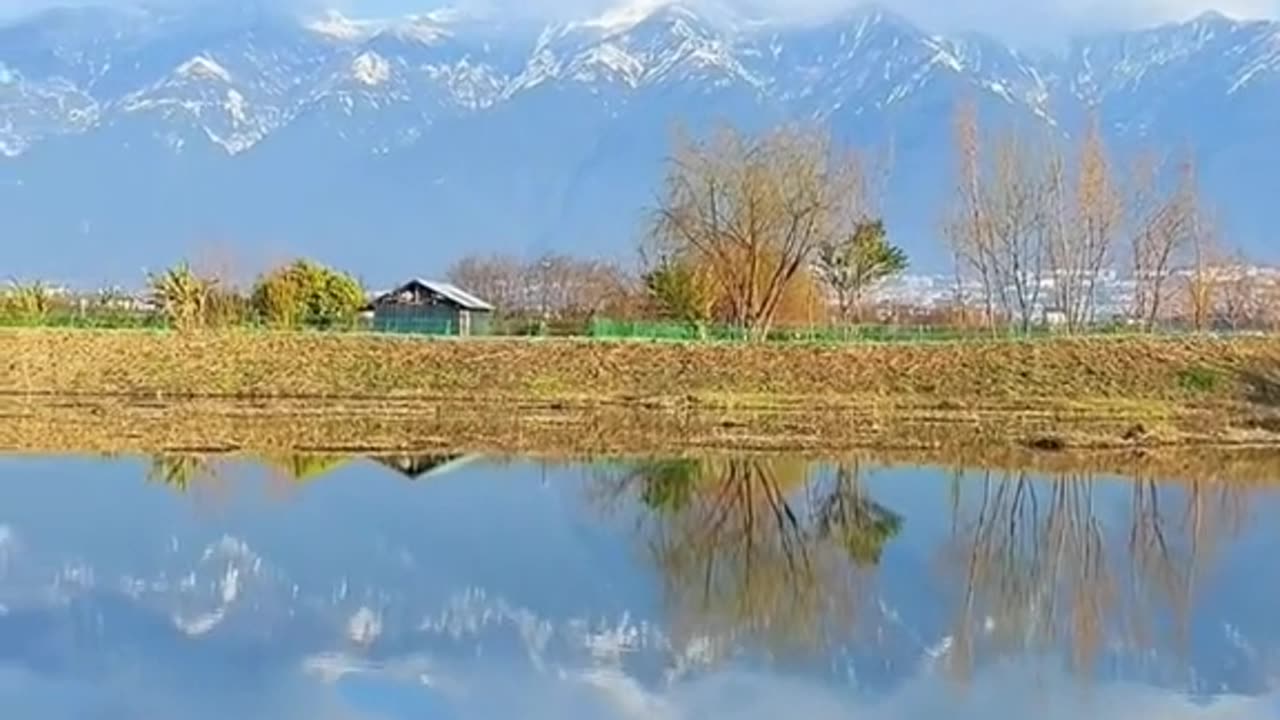 Relaxing Music 24/7, Sleep Music, Stress Relief Music, Spa, Meditation, Yoga, Zen, Sleeping Music🔴