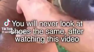 Grounding