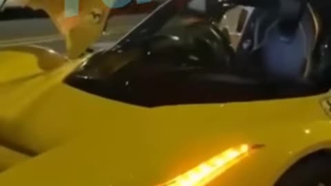 YELLOW FERRARI.