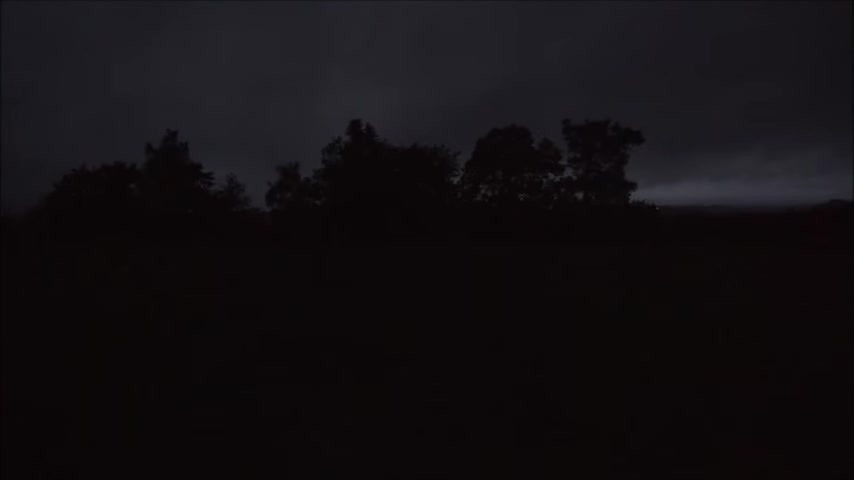 Thulean Perspective - The Forests Sing Forever