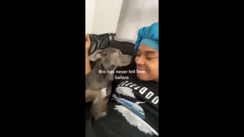 Pup has adorable reaction to owner's kiss