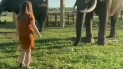 Lara ⚽️ Playing With Elephant 🐘