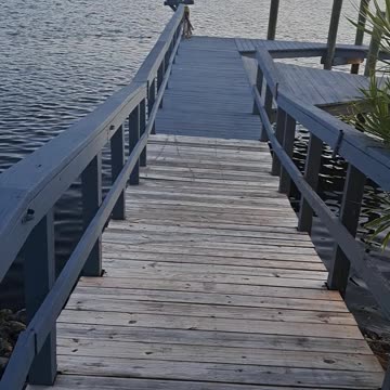 Snuck up on a big alligator and was able to video him swimming away.