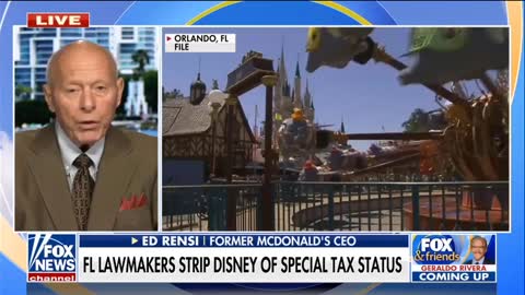 Former CEO of McDonald's organizes shareholder fight against woke corporations