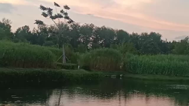 The lake is so calm in the morning