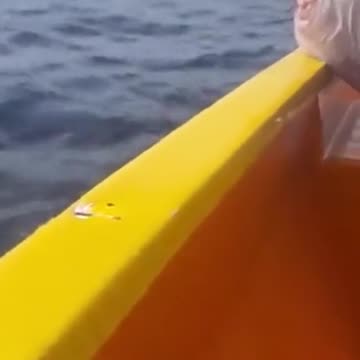 Venezuelan drug trafficker, 'Taliban,' is dumped alive in the Caribbean Sea.