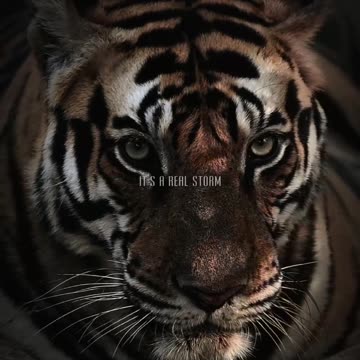 The person in their peace is precious.