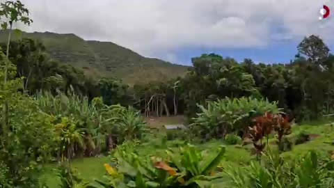 Invited to the Most Remote Corner of Hawaii (traditional living) 🇺🇸