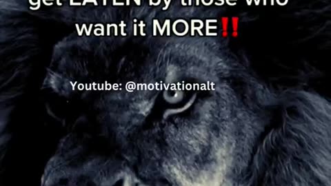 Sigma Rule / Motivation / Motivational Quotes