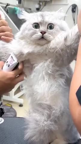 Totally shocked 😱