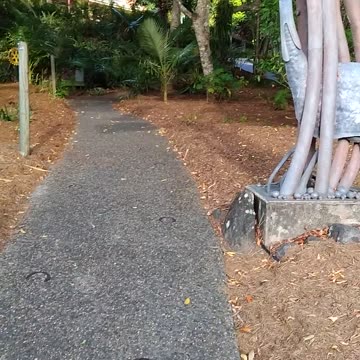 21.11.2024 Wishing Well