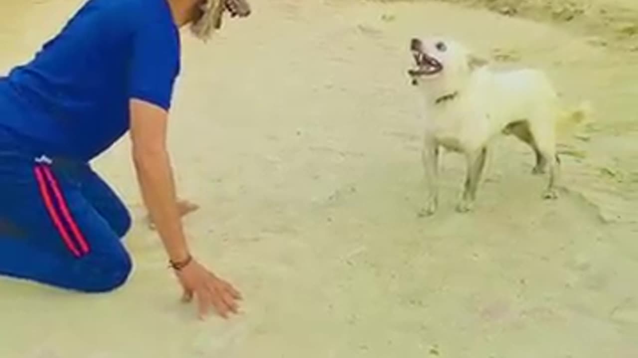 Dog 🐶 prank prank with 🐶 funny animal