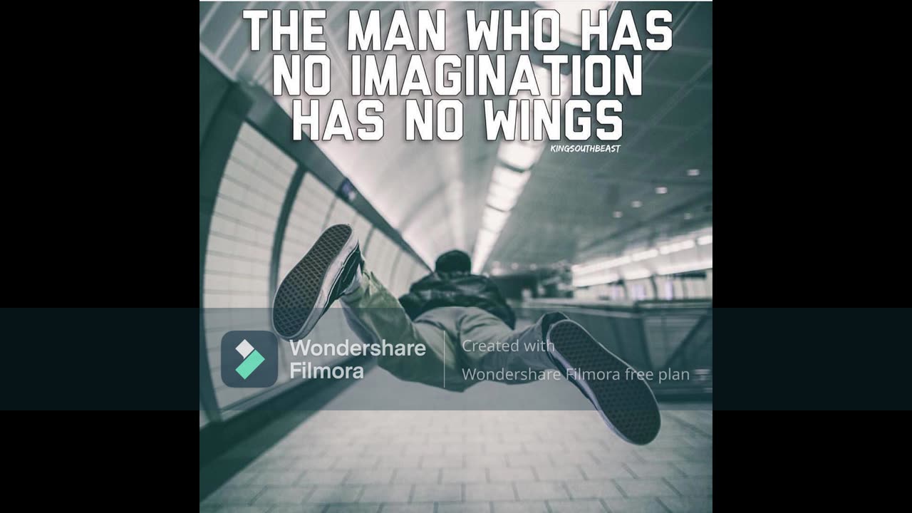 WITHOUT MY WINGS