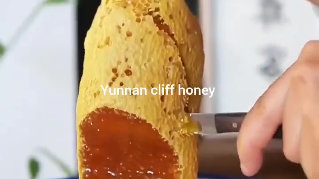 Honey making video