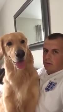 Surprised Dog Reacts to the News That He's Getting a Brother