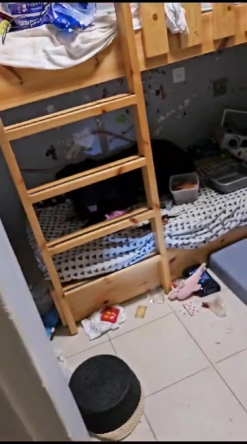 Hamas Terrorist Video 4